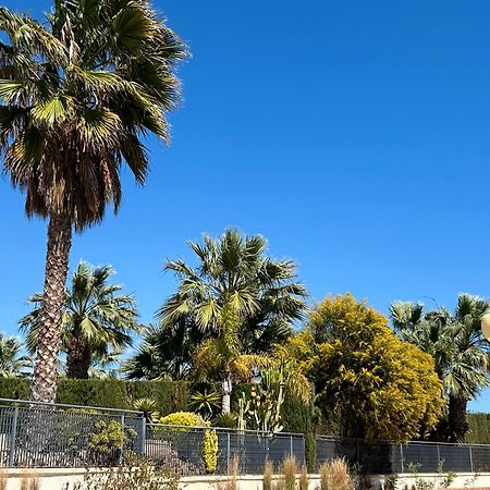 Apartamento Hermosa Glea Dehesa De Dehesa De Campoamor Buitenkant foto