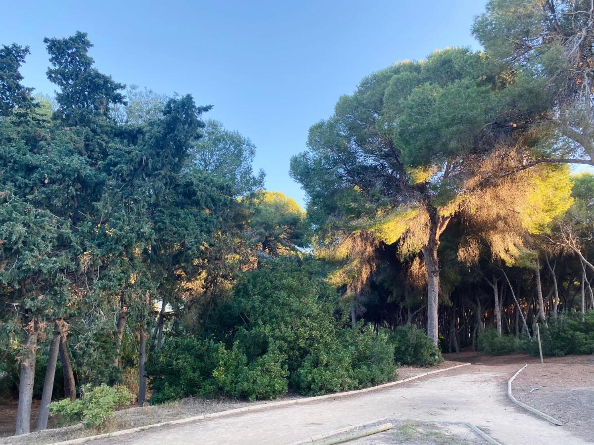 Apartamento Hermosa Glea Dehesa De Dehesa De Campoamor Buitenkant foto
