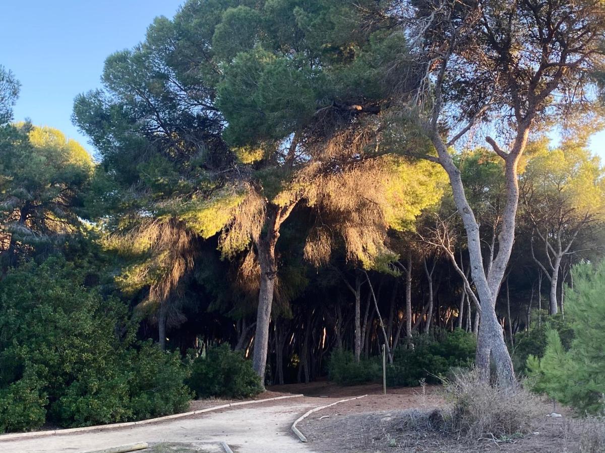 Apartamento Hermosa Glea Dehesa De Dehesa De Campoamor Buitenkant foto